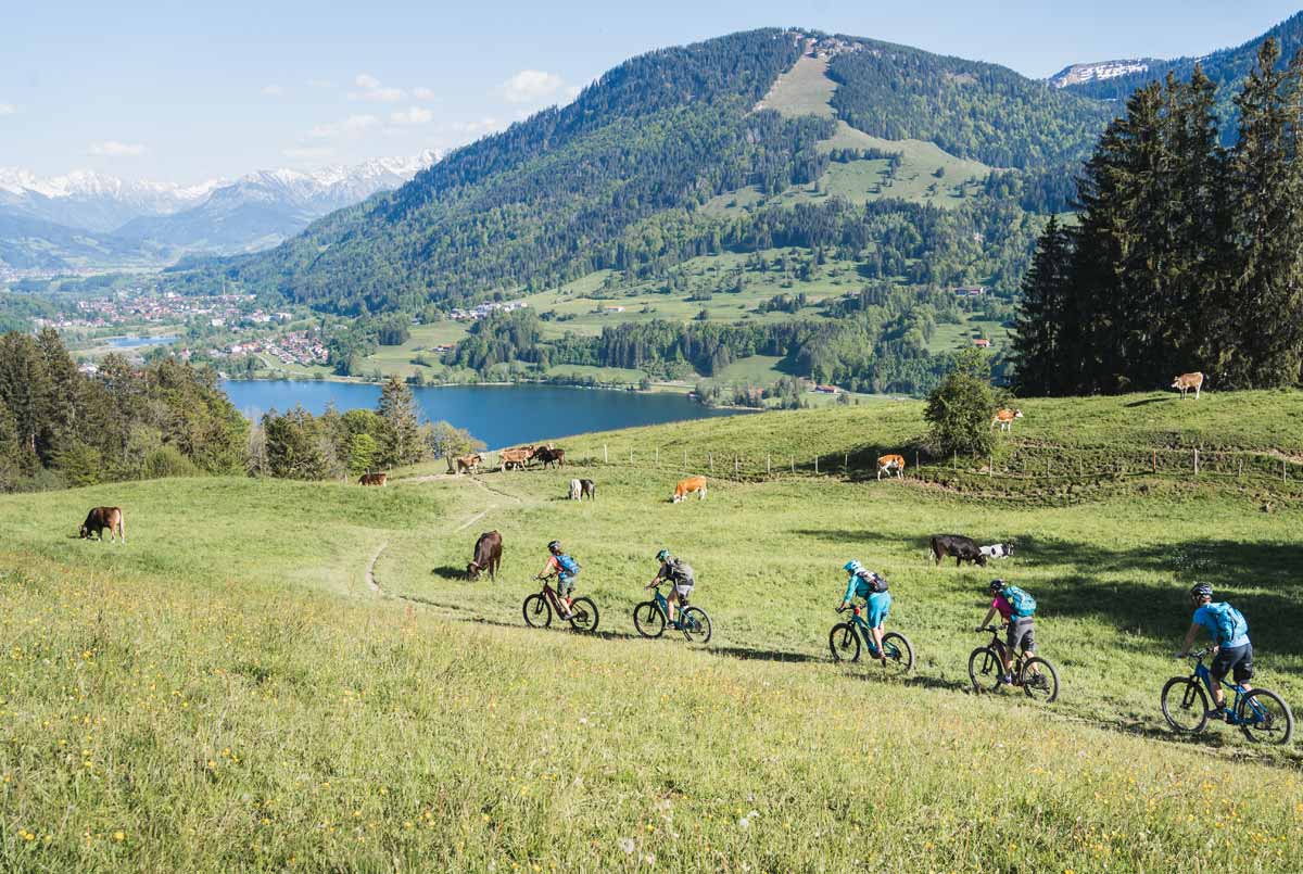 E-biketour mit Aussicht über den Alpsee